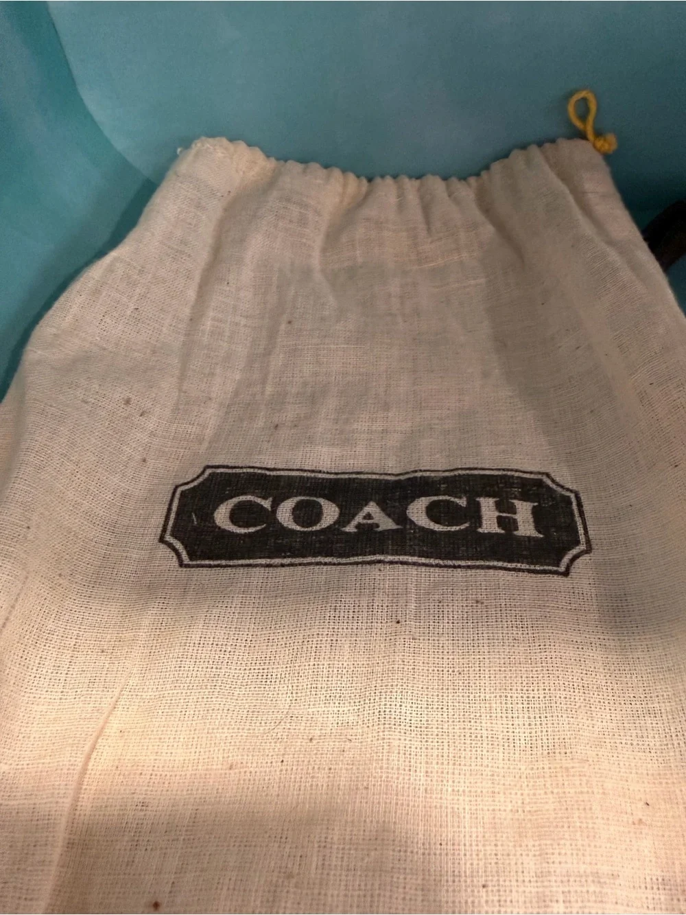 Coach Dark Brown Leather Skinny Belt with Gold buckle